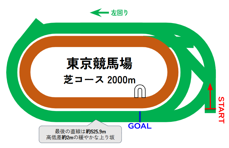 東京競馬場のコース図