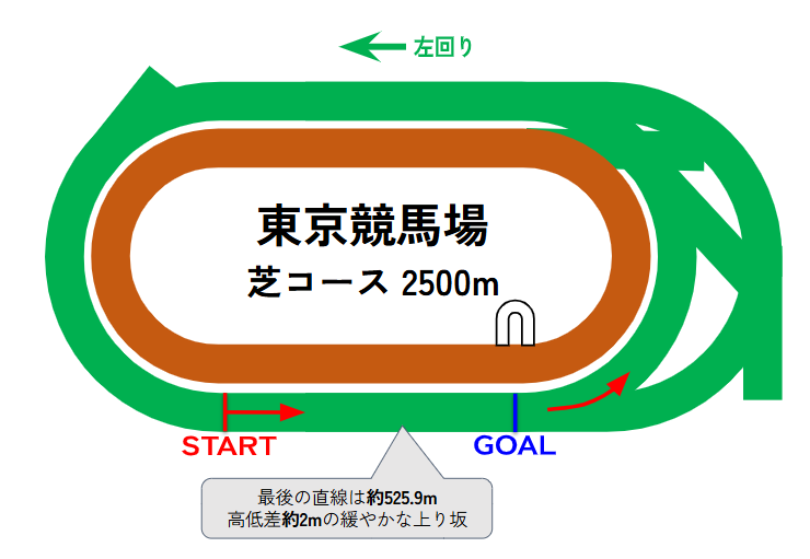 東京競馬場のコース図