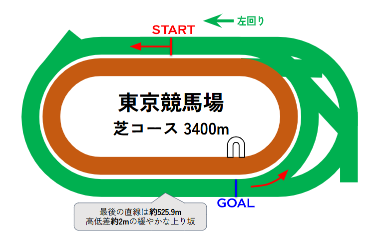 東京競馬場のコース図